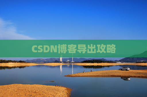 CSDN博客导出攻略
